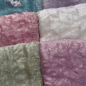 Ethereal Sheer Embroidered Dupatta Collection